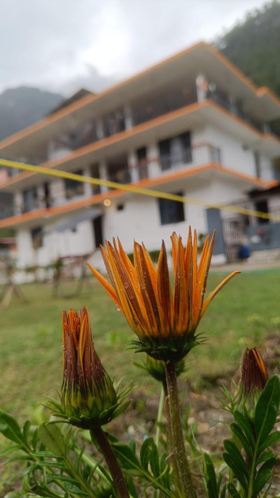 Himtrek Stay Kasol Extérieur photo