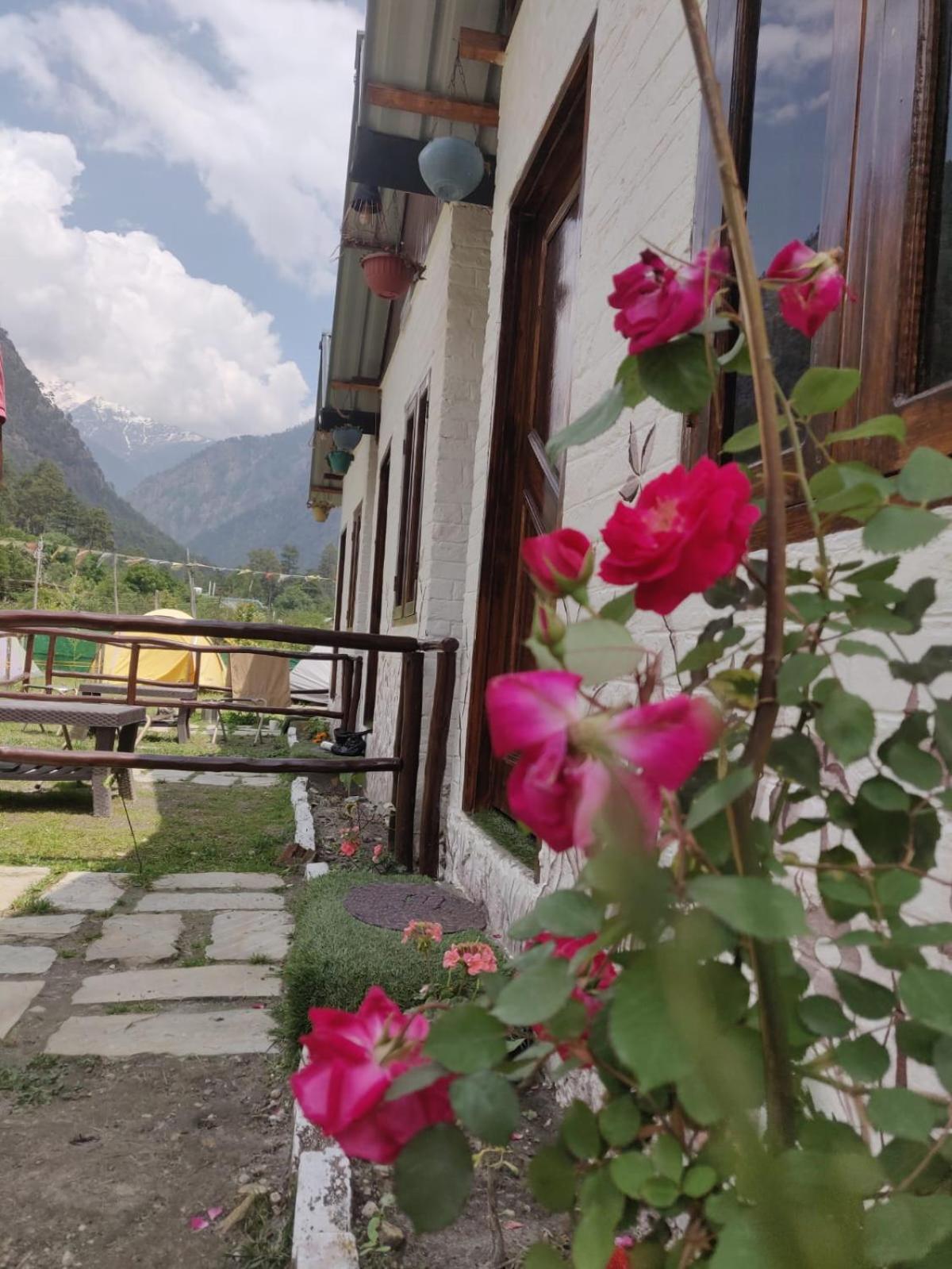 Himtrek Stay Kasol Extérieur photo