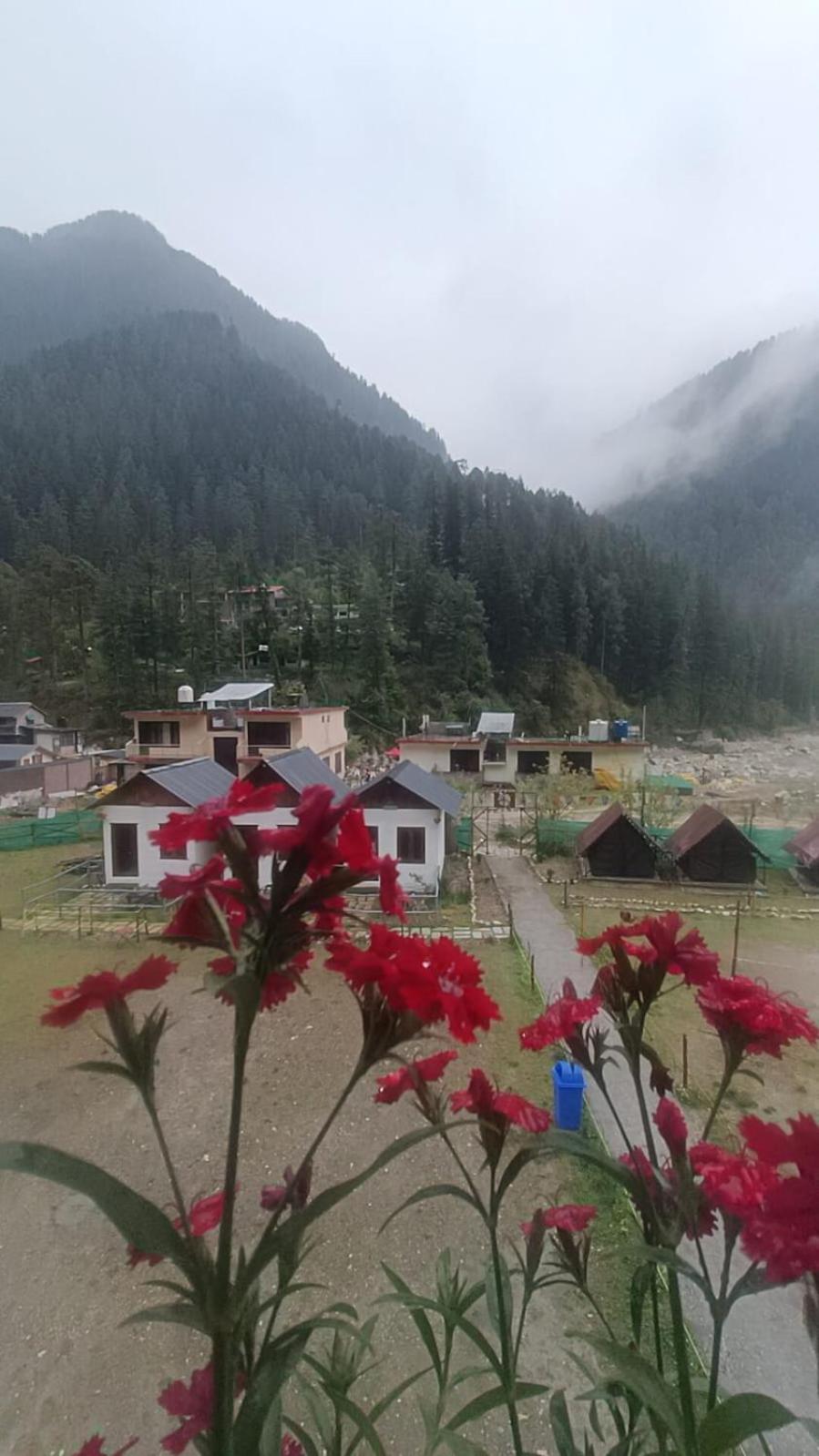 Himtrek Stay Kasol Extérieur photo