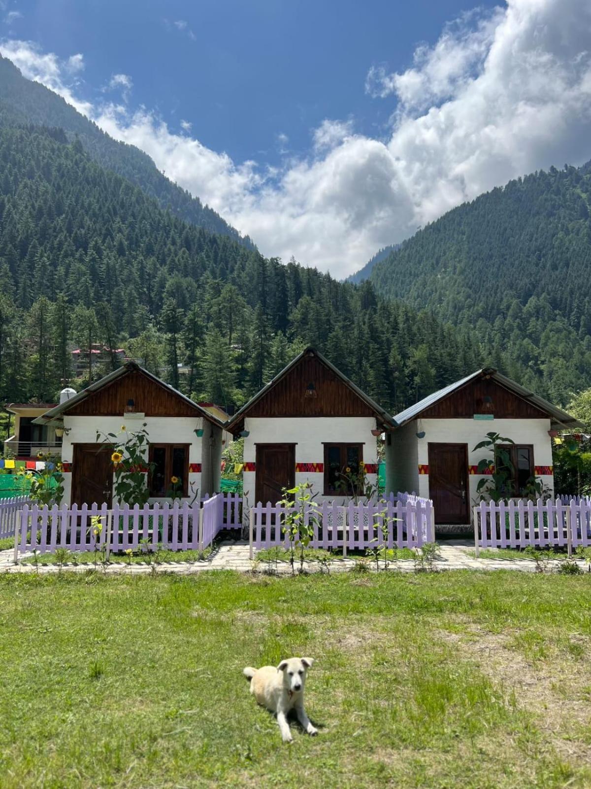 Himtrek Stay Kasol Extérieur photo