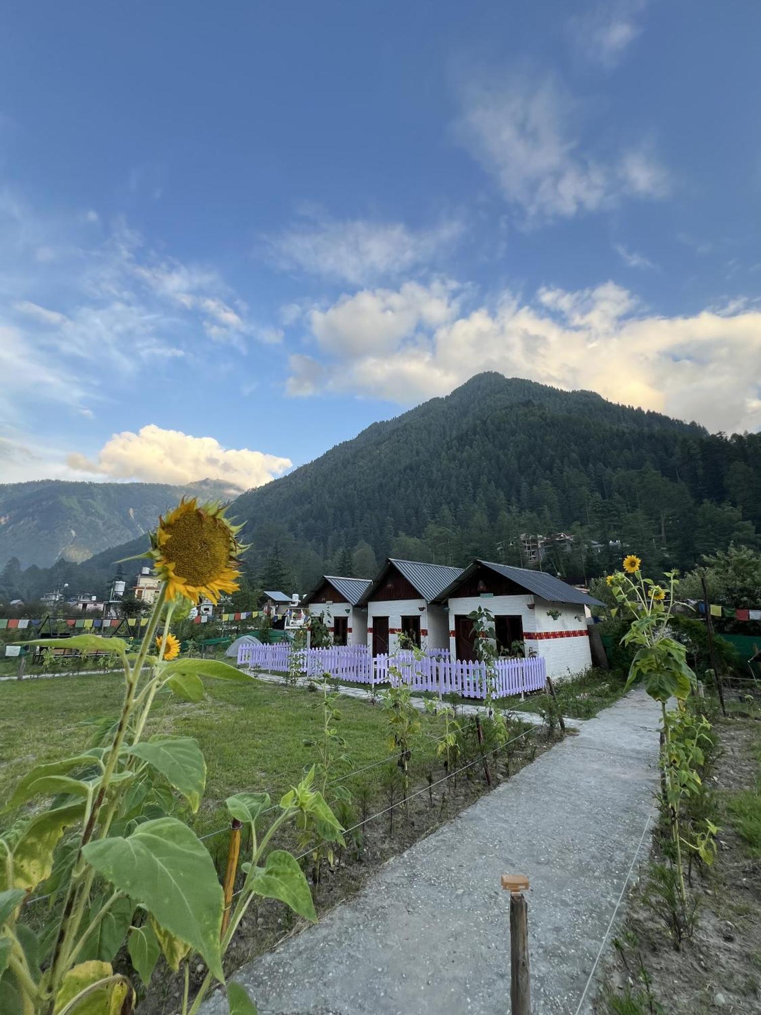 Himtrek Stay Kasol Extérieur photo