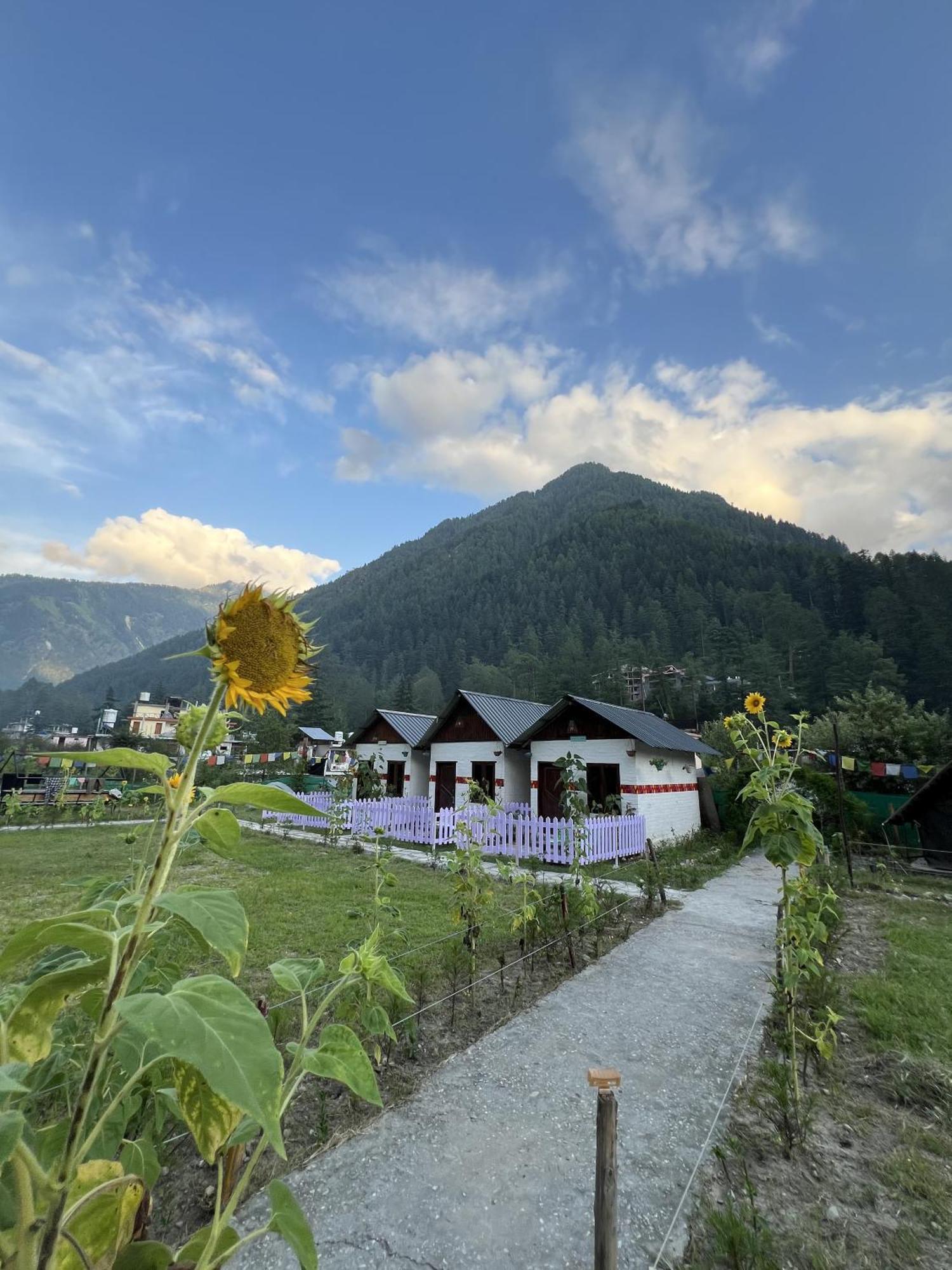 Himtrek Stay Kasol Extérieur photo